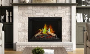EI29LCD | Electric Insert